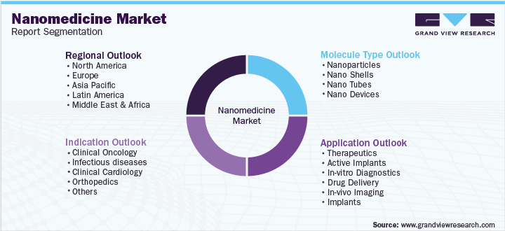 Global Nanomedicine Market Segmentation
