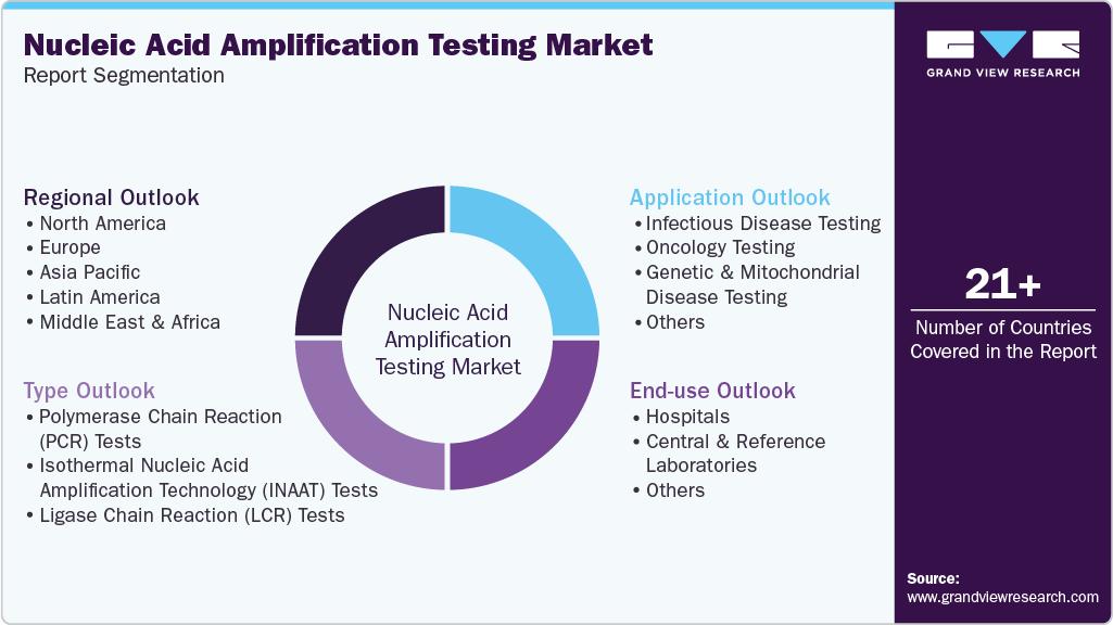 Global Nucleic Acid Amplification Testing Market Report Segmentation