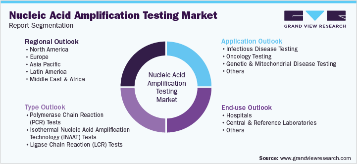 Global Nucleic Acid Amplification Testing Market Segmentation