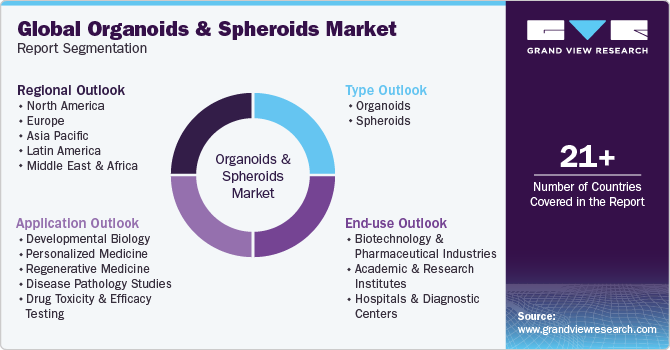 Global Organoids And Spheroids Market Report Segmentation