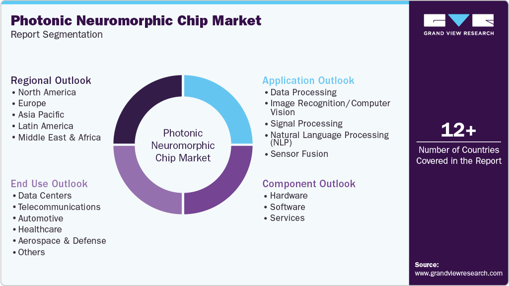 Global Photonic Neuromorphic Chip Market Report Segmentation