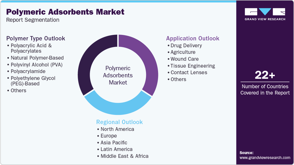 Global Polymeric Adsorbents Market Report Segmentation