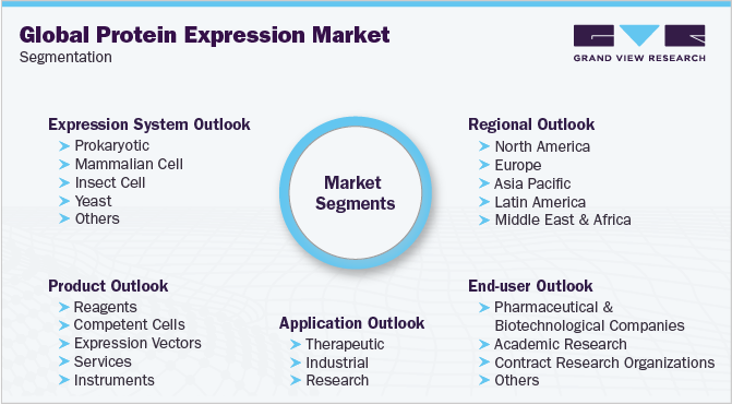 Global Protein Expression Market Segmentation
