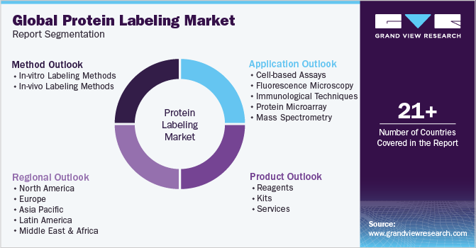 Global Protein Labeling Market Report Segmentation