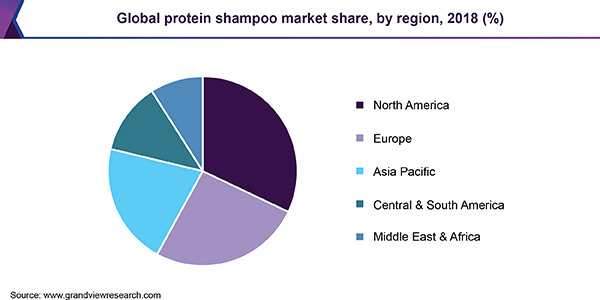 Global protein shampoo market share, by region, 2018 (%)