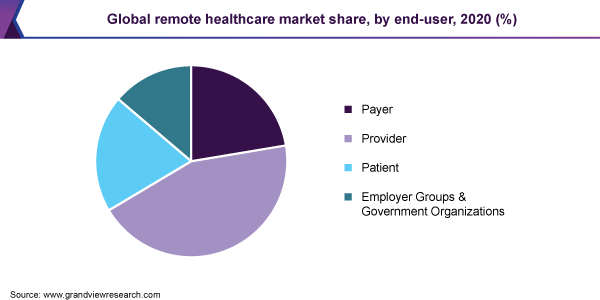 Global remote healthcare market share, by end-user, 2020 (%)