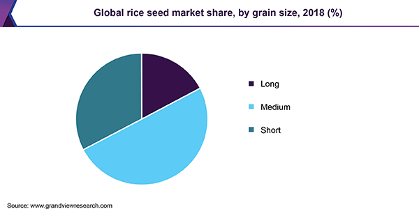 Global rice seed Market