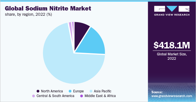 Global sodium nitrite market share, by region, 2022 (%)