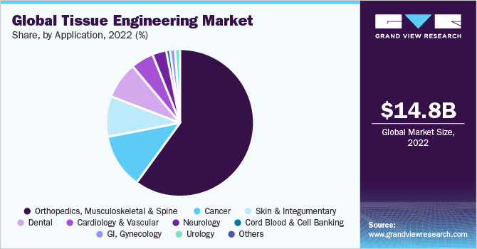 Global Tissue Engineering Market share and size, 2022