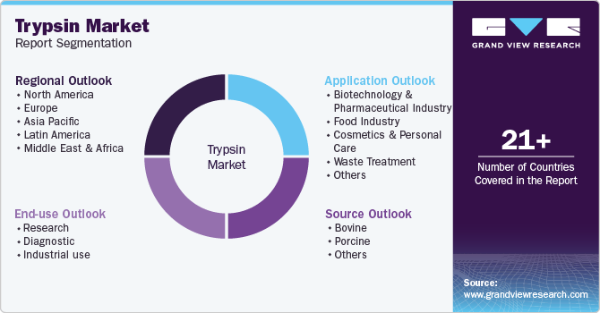 Global Trypsin Market Report Segmentation