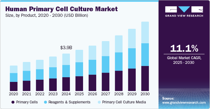 Human Primary Cell Culture Market Size, By Product, 2020 - 2030 (USD Billion)