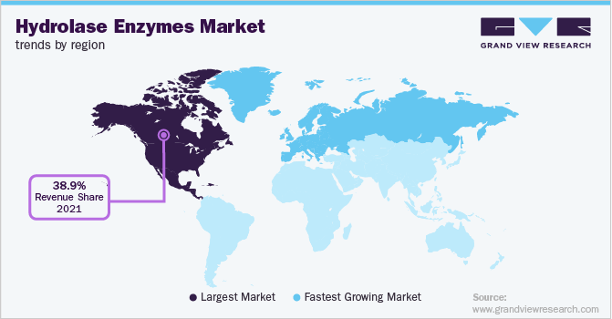 Hydrolase Enzymes Market Trends by Region