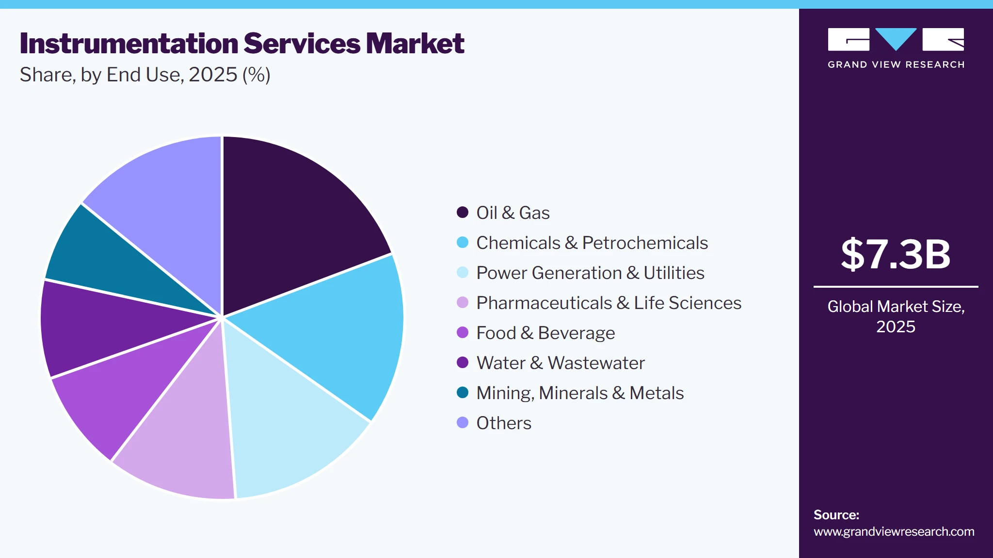 Instrumentation Services Market Share