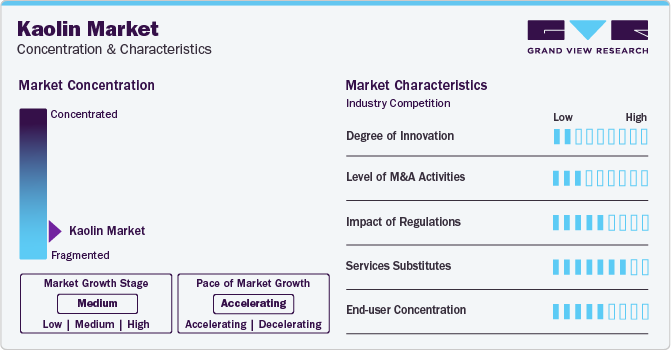 Kaolin Market Concentration & Characteristics