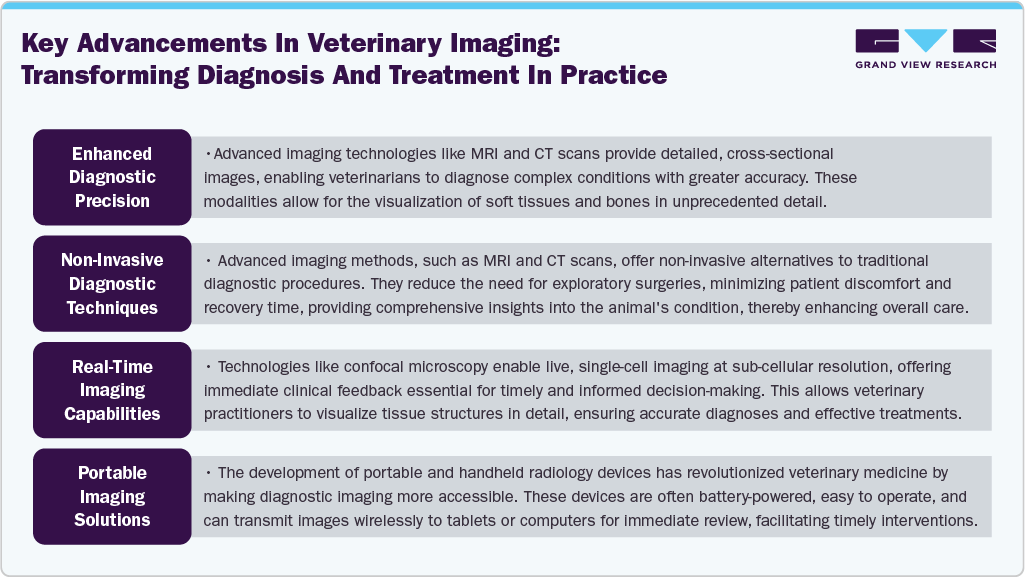 Key Advancements in Veterinary Imaging: Transforming Diagnosis and Treatment in Practice