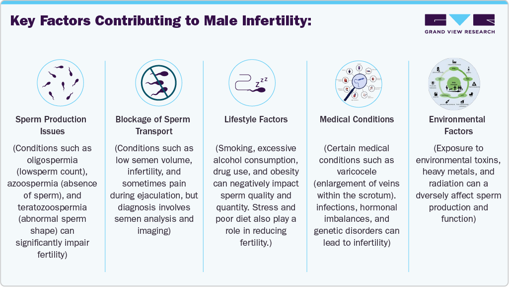 Key Factors Contributing To Male Infertility Key Factors Contributing To Male Infertility