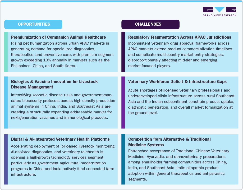 Key Opportunity and Challenge Verticals