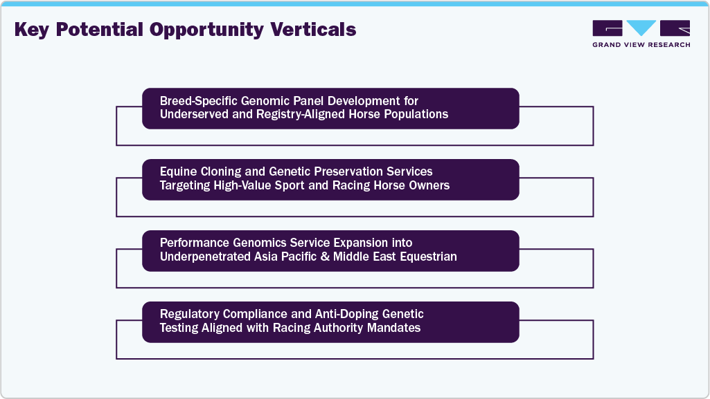Key Potential Opportunity Verticals