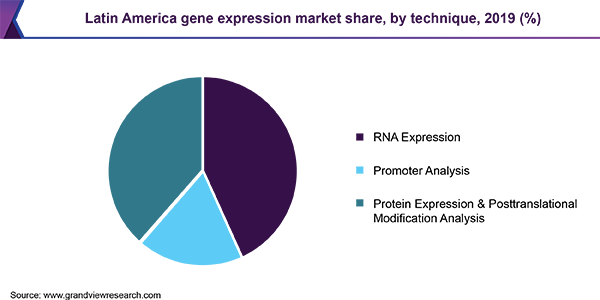 Latin America gene expression market share, by technique, 2019 (%)
