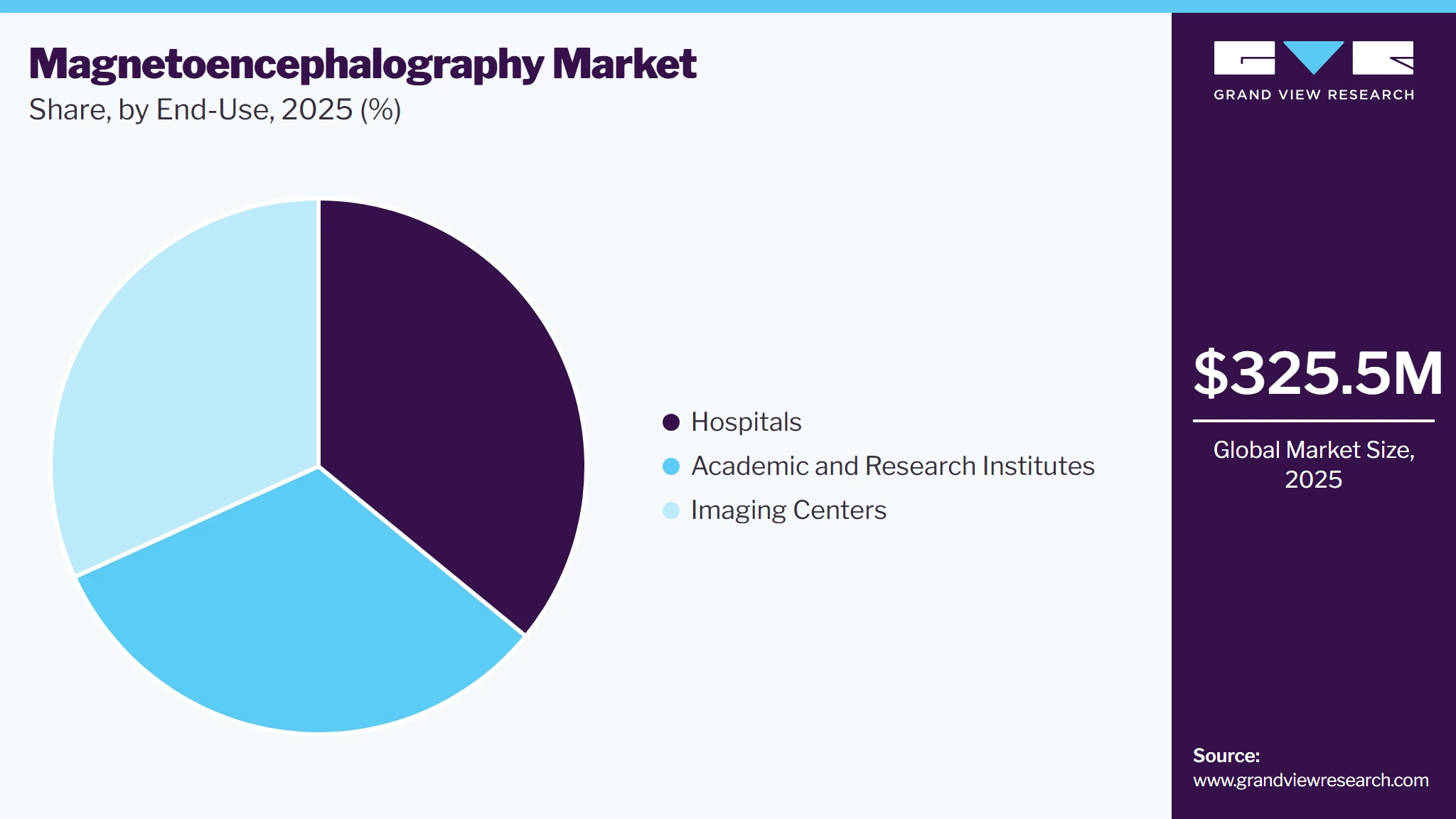 Magnetoencephalography Market Share