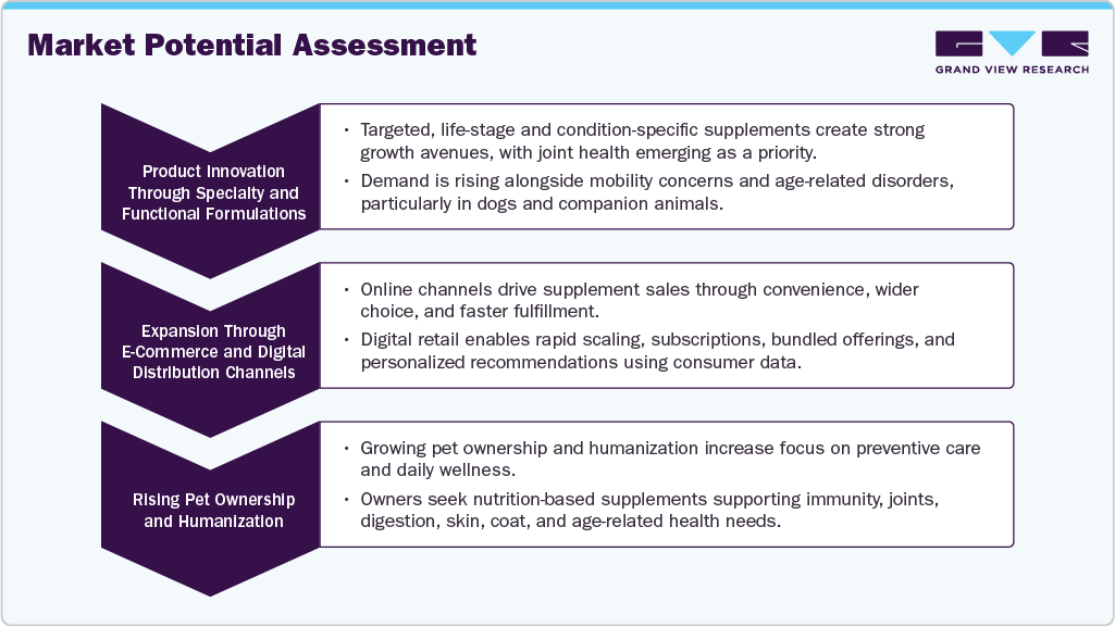 Market Potential Assessment