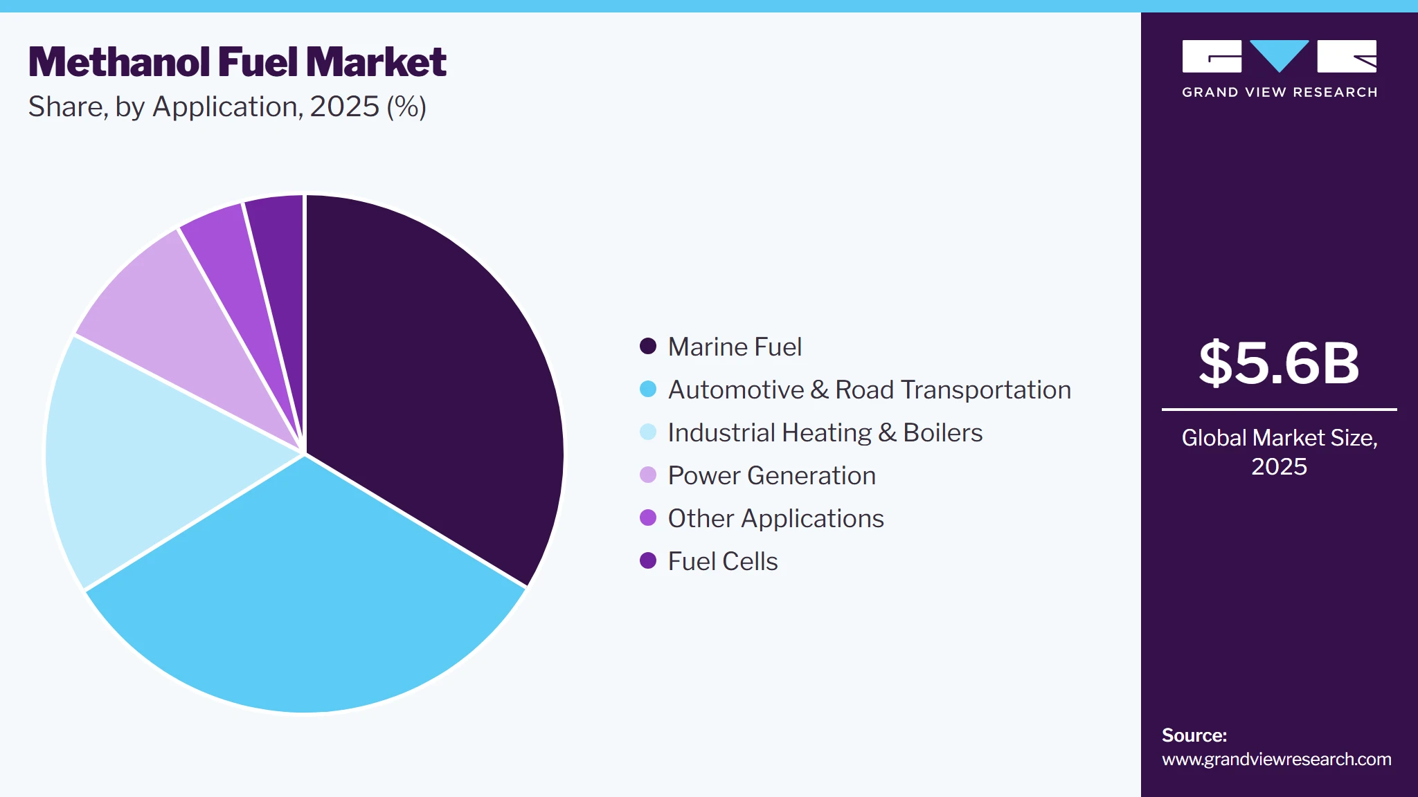Methanol Fuel Market Share Methanol Fuel Market Share