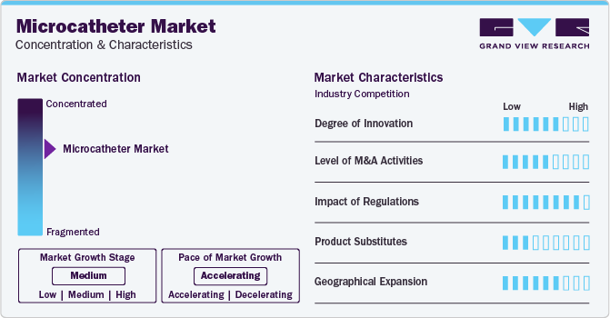 Microcatheter Market Concentration & Characteristics