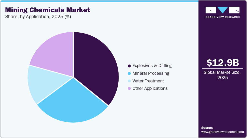 Mining Chemicals Market Share