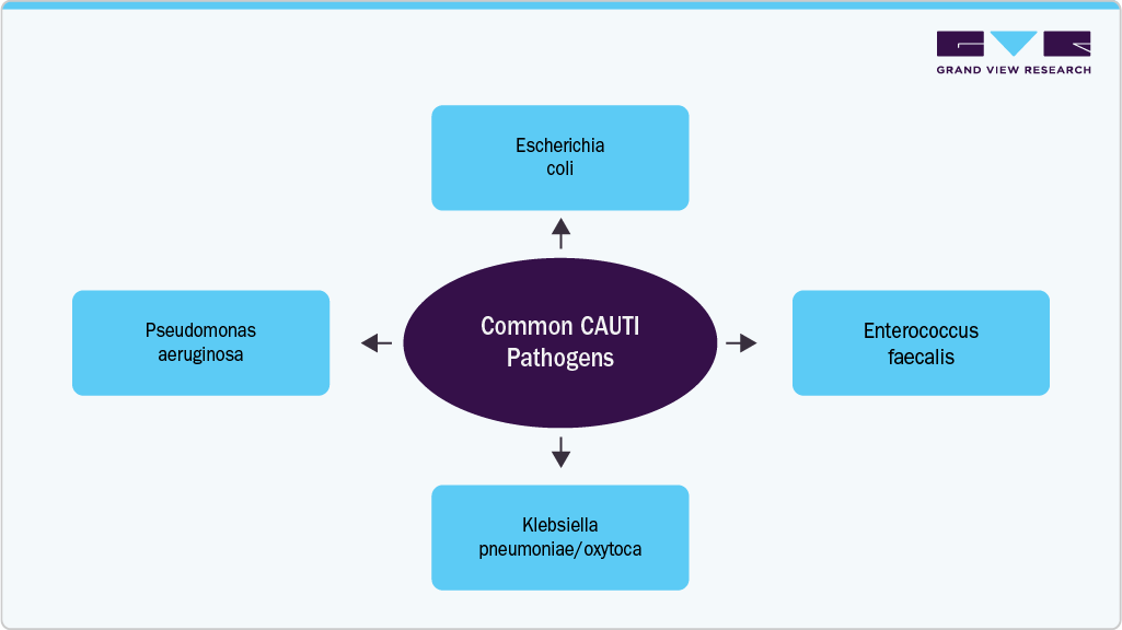 National Clinical Director for Infections Management and AMR at NHS England