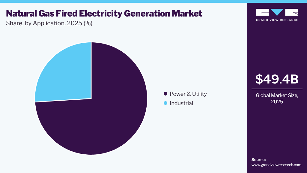 Natural Gas Fired Electricity Generation Market Share