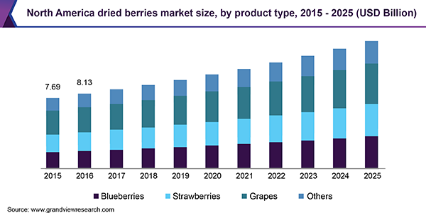 North America dried berries market