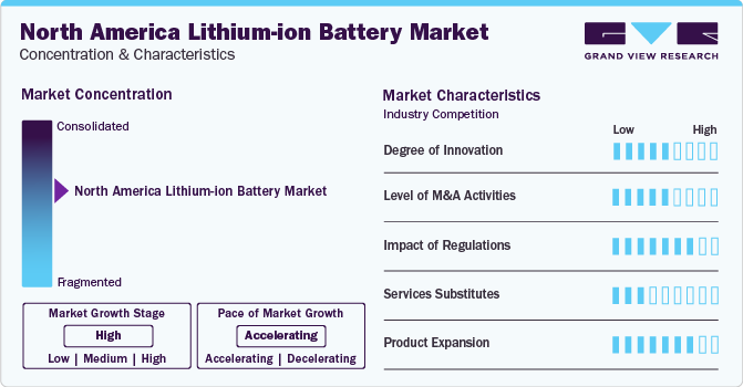 North America Lithium-ion Battery Market Concentration & Characteristics