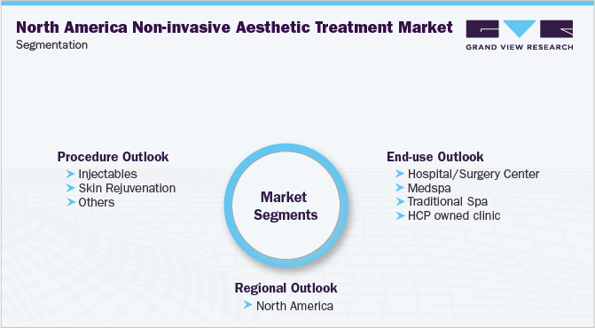 North America Non-invasive Aesthetic Treatment Market Segmentation