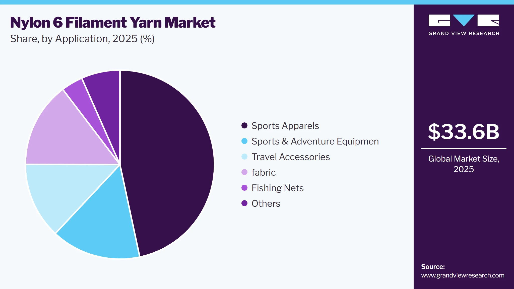 Nylon 6 Filament Yarn Market Share