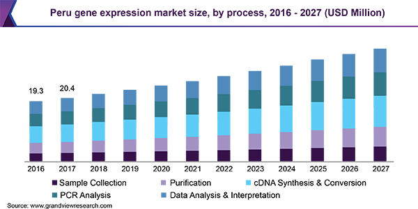 Peru gene expression market size, by process, 2016 - 2027 (USD Million) 