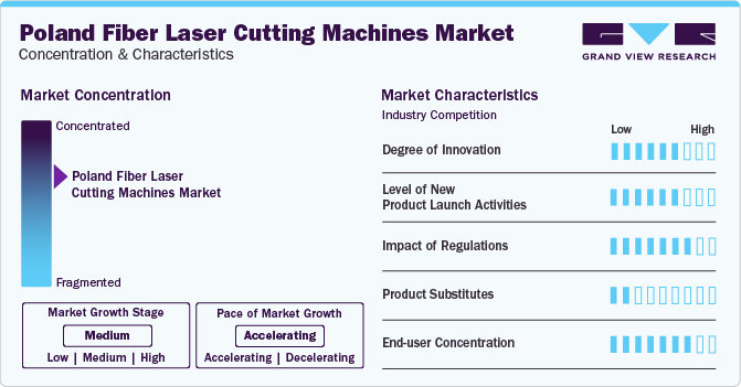 Poland Fiber Laser Cutting Machines Market Concentration & Characteristics