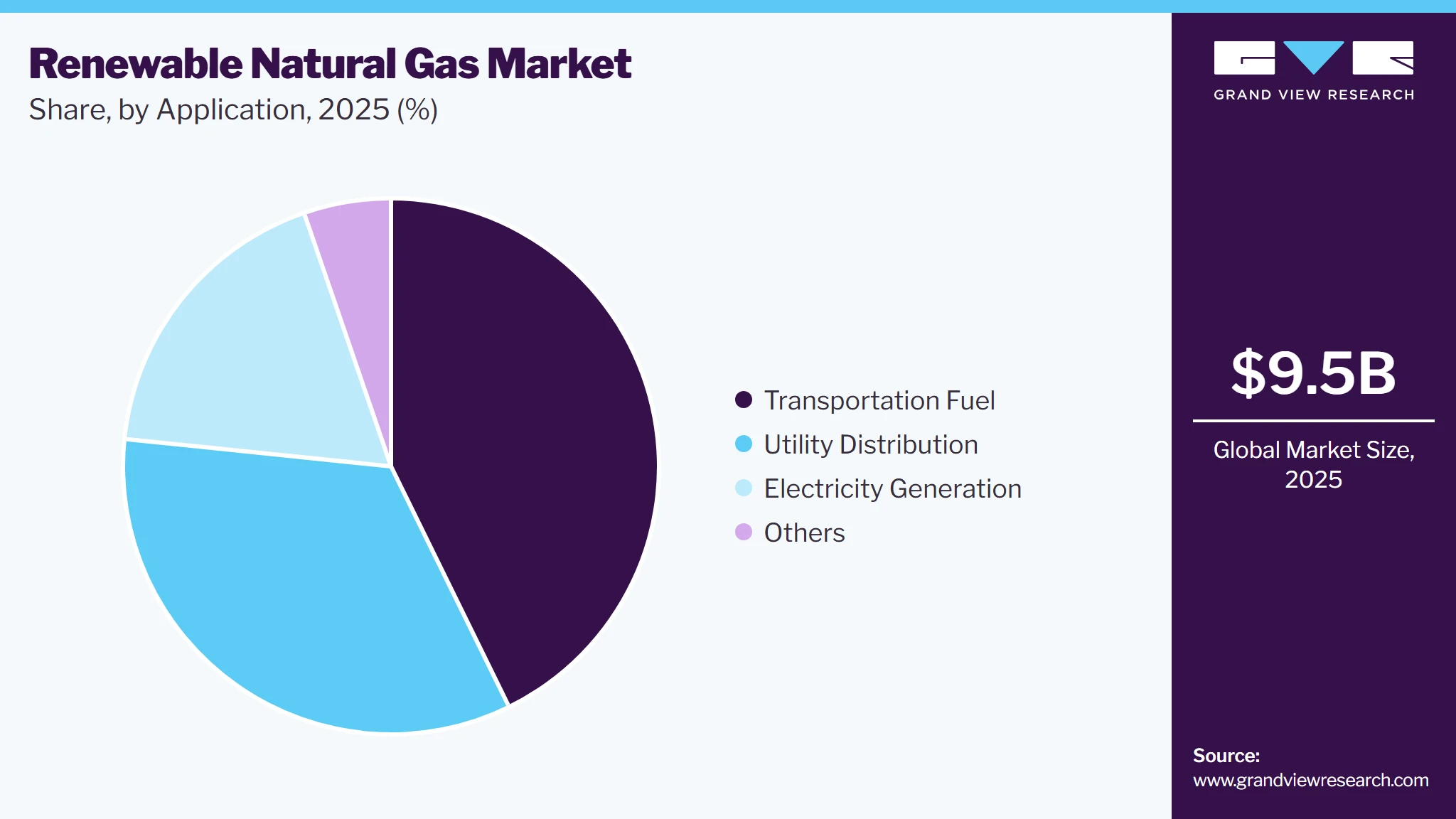 Renewable Natural Gas Market Share