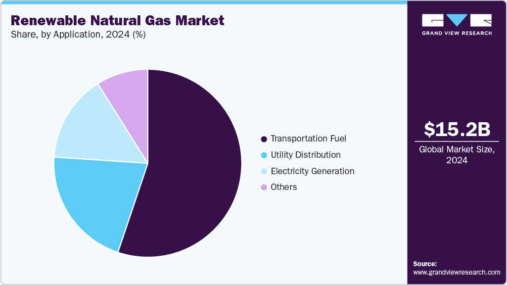Renewable Natural Gas (RNG) Market Share Renewable Natural Gas (RNG) Market Share