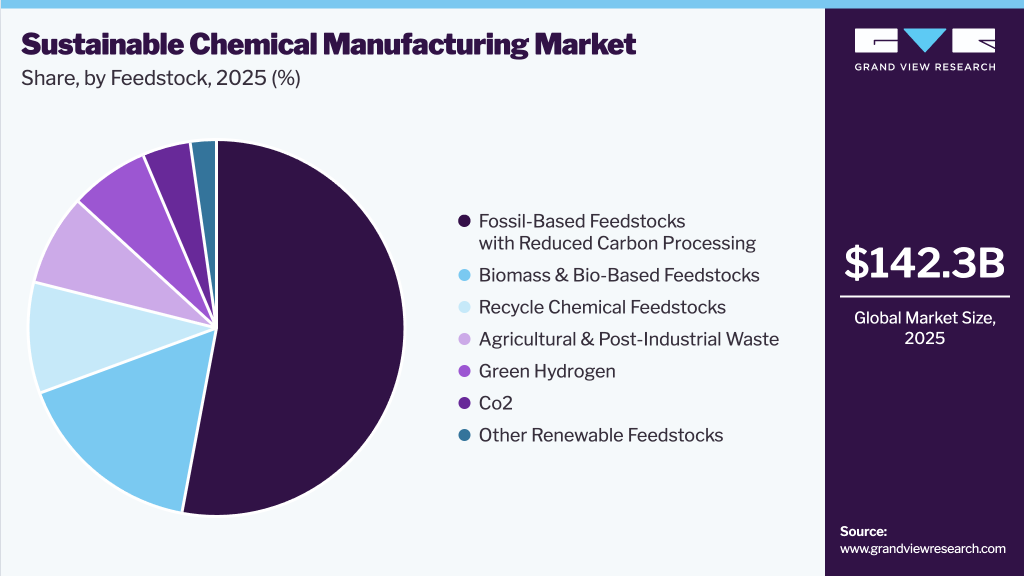 Sustainable Chemical Manufacturing Market Share