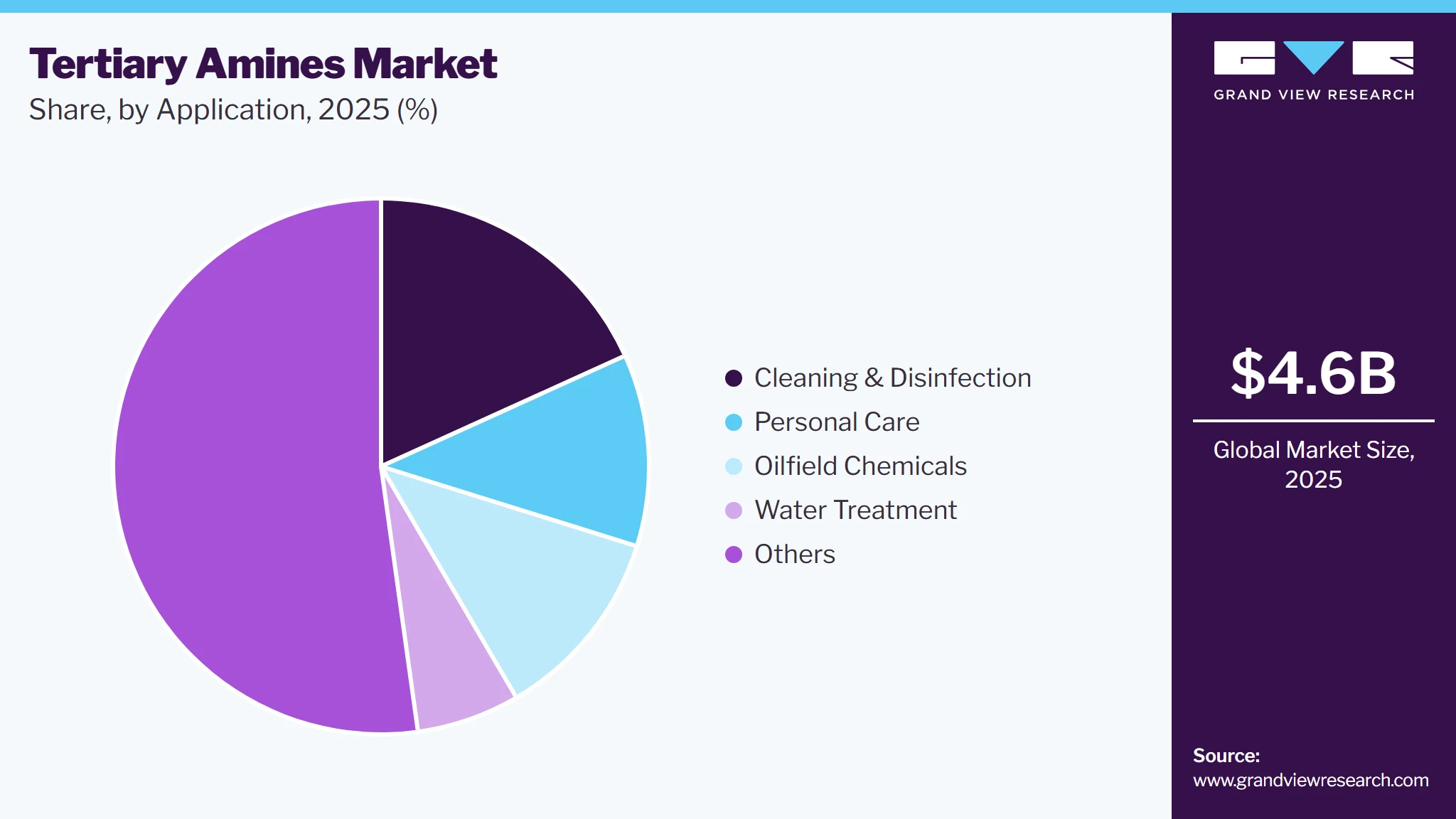 Tertiary Amines Market Share Tertiary Amines Market Share