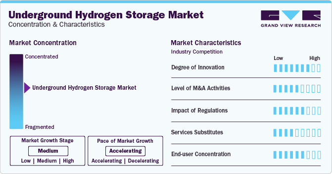 Underground Hydrogen Storage Market Concentration & Characteristics