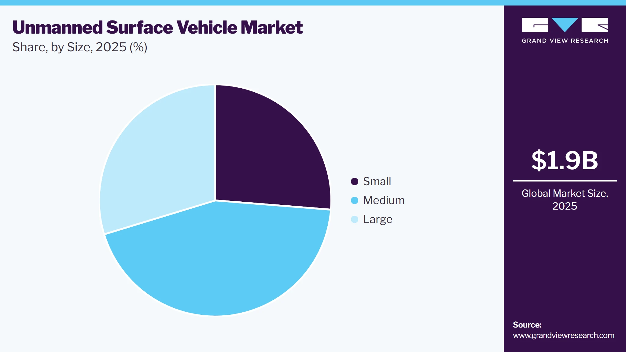 Unmanned Surface Vehicle Market Share