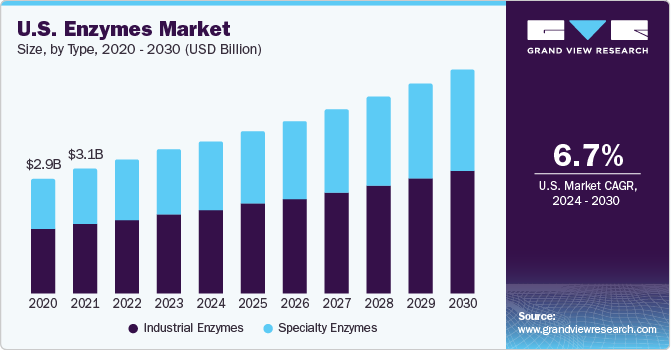 U.S. enzymes market size and growth rate, 2023 - 2030