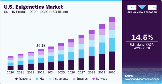 U.S. Epigenetics Market size and growth rate, 2024 - 2030