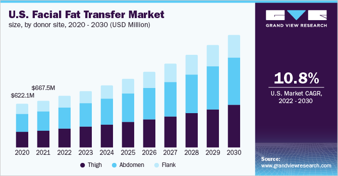 Flank Liposuction: Everything You Need to Know 2024 - International Clinics
