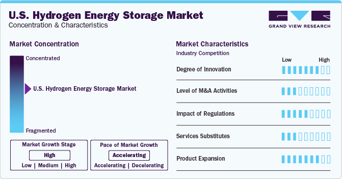 U.S. Hydrogen Energy Storage Market Concentration & Characteristics