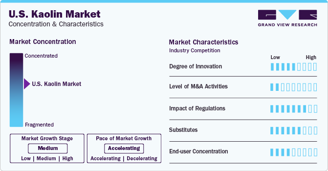 U.S. Kaolin Market Concentration & Characteristics