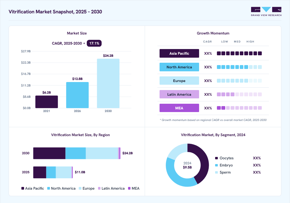 Vitrification market overview: Grand View Research estimates the global market size at USD 9.5 million in 2024, projected to grow from USD 12.8 million in 2026 to USD 24.2 million by 2030 at a 17.1% CAGR, with regional growth momentum.