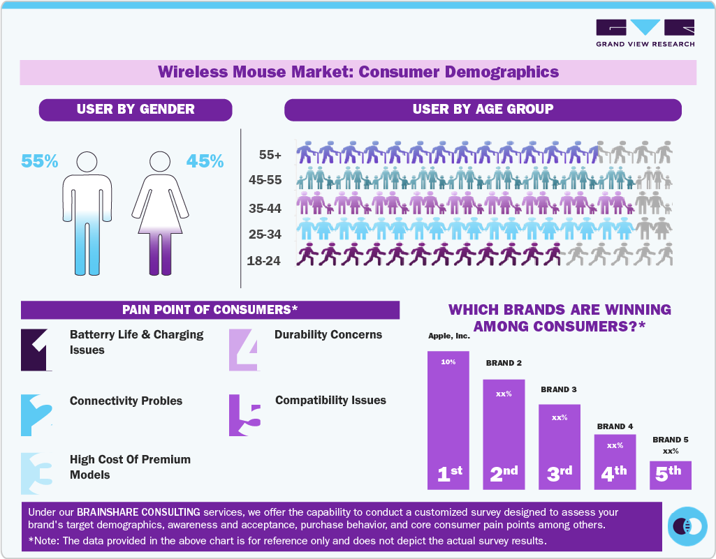 Wireless Mouse Market: Consumer Demographics