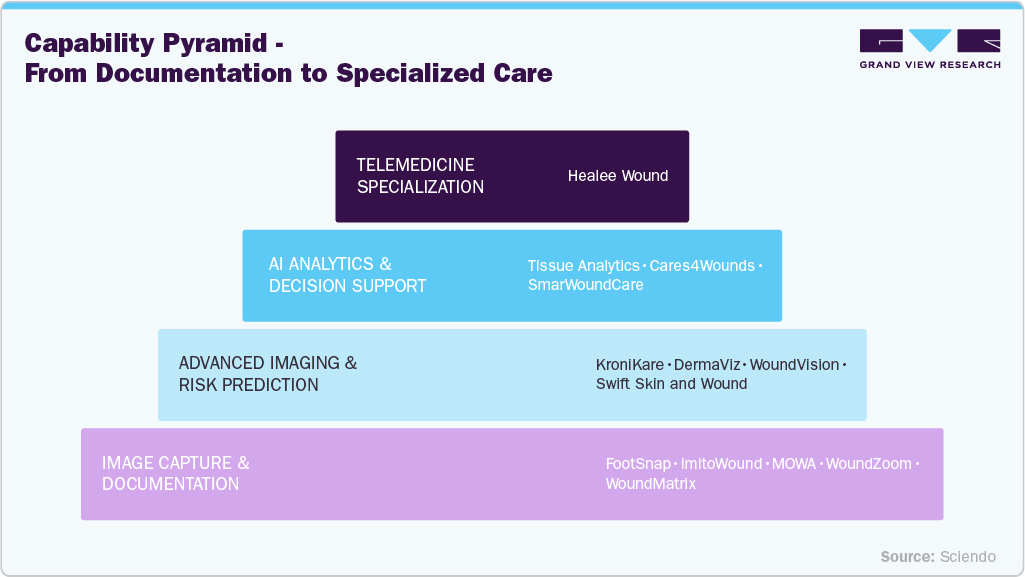 Wound Imaging Device Market Capability Pyramid &mdash; From Documentation to Specialized Care